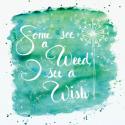 Some See