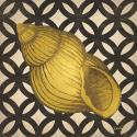 Gold Shells IV