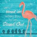 Stand Out