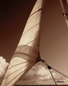 Windward Sail II