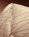 Windward Sail III