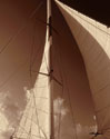 Windward Sail IV