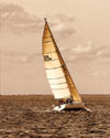 Weekend Sail II