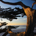 Carmel Sunset II