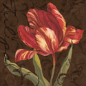 Tulipa II