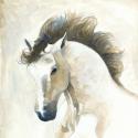 Horse II