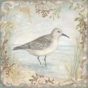 Shore Birds I