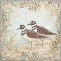 Shore Birds II