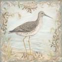 Shore Birds III