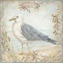 Shore Birds IV