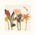 Tre Fiori IV