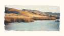 Estuary I