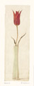 Blossom I