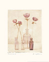 Anemones I