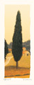 Cypress I