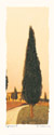 Cypress II