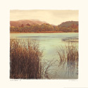 Water Colors II