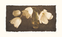 Anima I