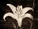 Garden Journal III