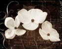 Garden Love Letter I