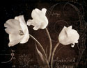 Garden Love Letter II