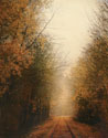 Road of Mysteries I