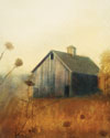Avonlea II