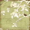 Song Birds I