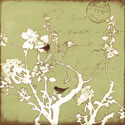 Song Birds II
