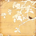 Song Birds V