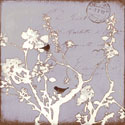 Song Birds VII