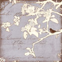 Song Birds VIII