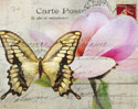 Carte Postale Magnolia I