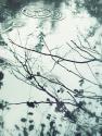 Ripples of the Rain I