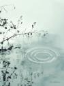 Ripples of the Rain III