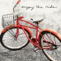 Enjoy the Ride