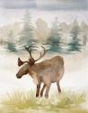 Wildlife I