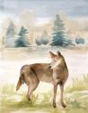 Wildlife III
