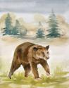 Wildlife IV