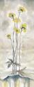 Yellow Blossoms I
