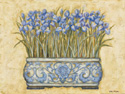Blue Irises