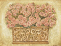 Pink Roses
