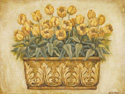 Yellow Tulips