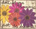 Don't Let Your Dreams
