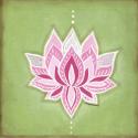 Lotus Flower