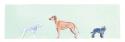 Dogs Panel I
