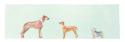 Dogs Panel II