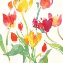 Jardin de Plantes I