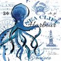 Sea Cliff Octopus