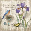 Artist's Journal I